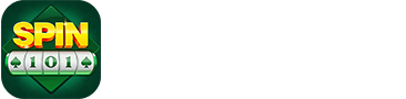 Spin 101